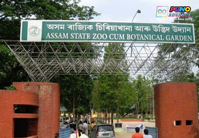 Assam State Zoo in guwahati