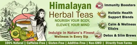 Morhav Himalayan Herbal Teas