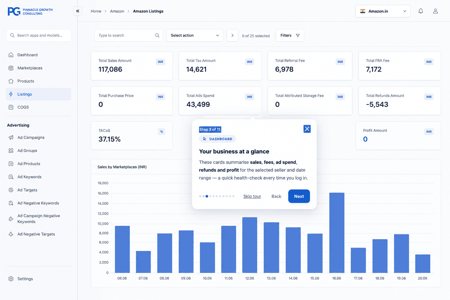 pinnaclegrowth-ai-live-ads-dashboard-dayparting