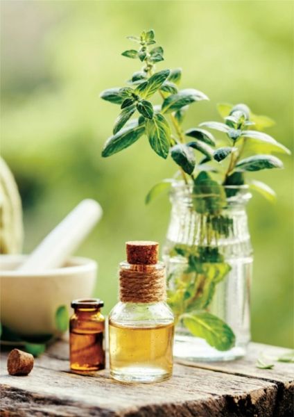 Mint Terpenes