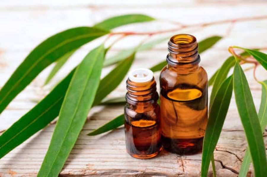 Eucalyptol (1,8 Cineole)