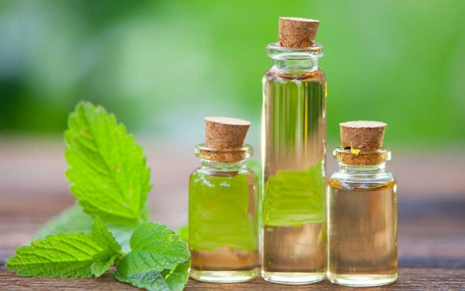 American Peppermint Oil (Yakima Valley)